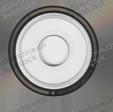 Microsoft Windows 95 中文版 (4.00.950 B OSR 2.1 USB OEM) · 介质